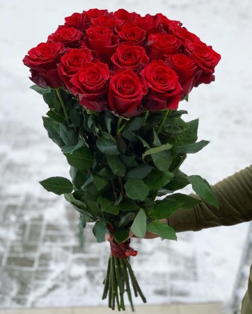19vnt Raudonos rožės "Toskana"