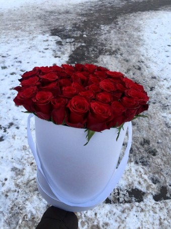Dėžutė raudonų rožių "Mirabell"