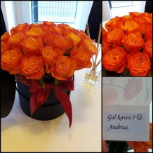 Dėžutė rožių "Armina