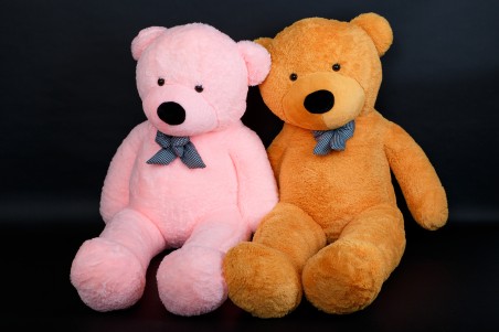 Pliušinis meškinas "Hug" 200cm